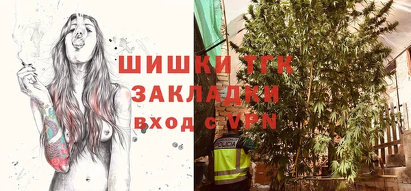 прущие грибы Аркадак