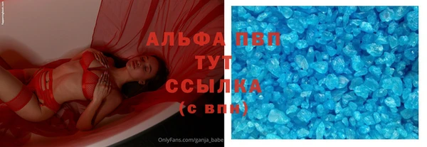 прущие грибы Аркадак