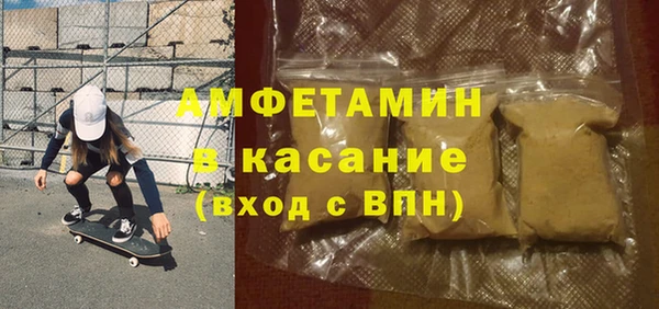 прущие грибы Аркадак