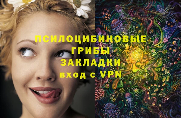 дмт Арсеньев