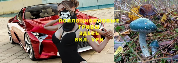 дмт Арсеньев