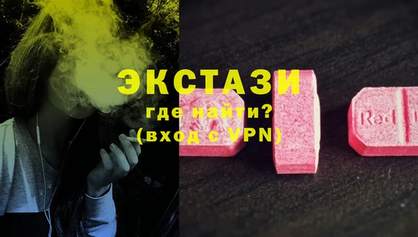 прущие грибы Аркадак
