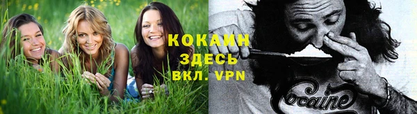 каннабис Армянск