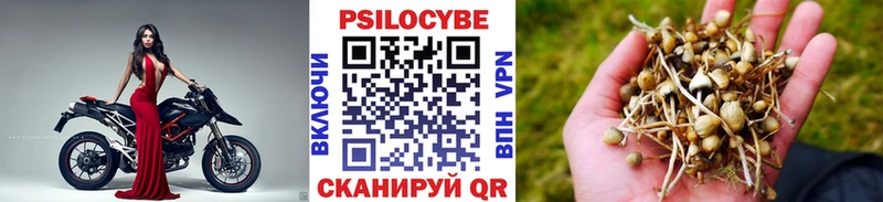 Купить где  Белорецк  Галлюциногенные грибы прущие грибы 